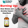 Burning Up: How Stress Impacts Heartburn and How to Manage it