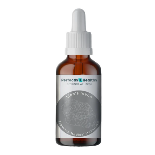 Lion's Mane - Premium Medical Mushroom