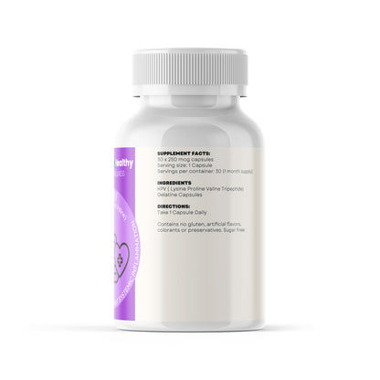 Gut Repair Stack - Gut Lining Repair + Microbiome & Inflammation Balance