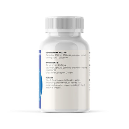 Cerebrolysin - Neuroregeneration and Synaptic Health