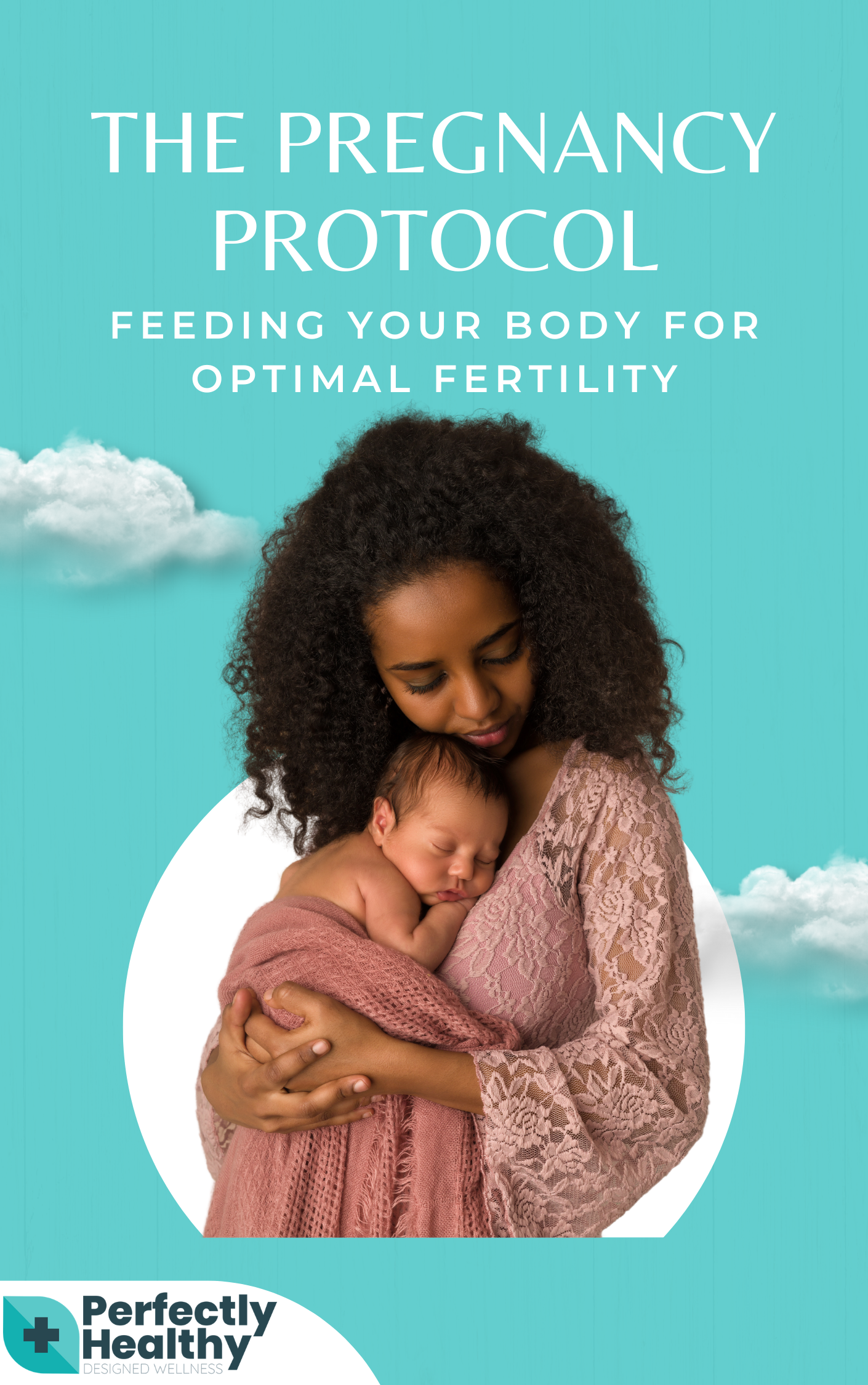 The Pregnancy Protocol (eBook)